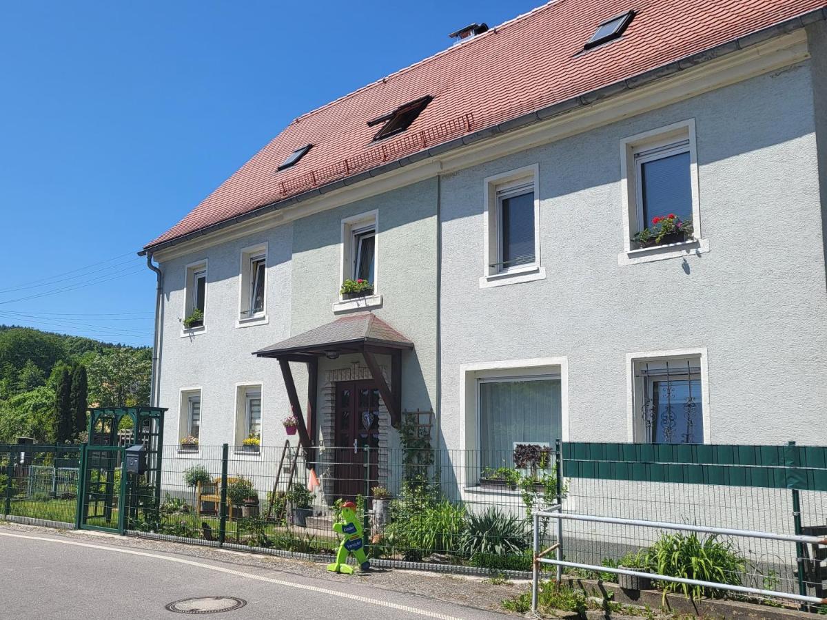 Ferienwohnung Simmert Kurort Gohrisch Esterno foto