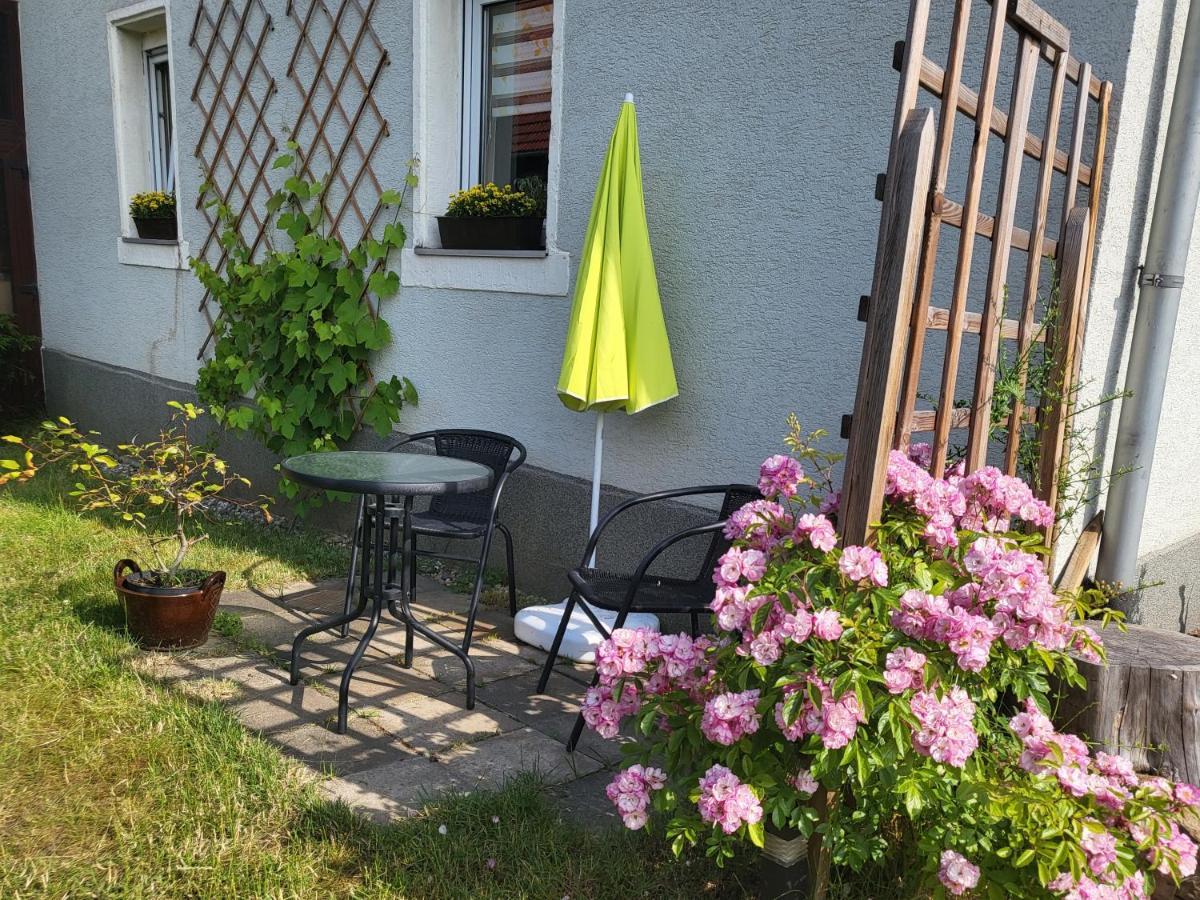 Ferienwohnung Simmert Kurort Gohrisch Esterno foto